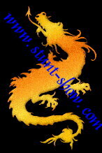 The Dragon Attack Stunt Show - www.stunt-show.com